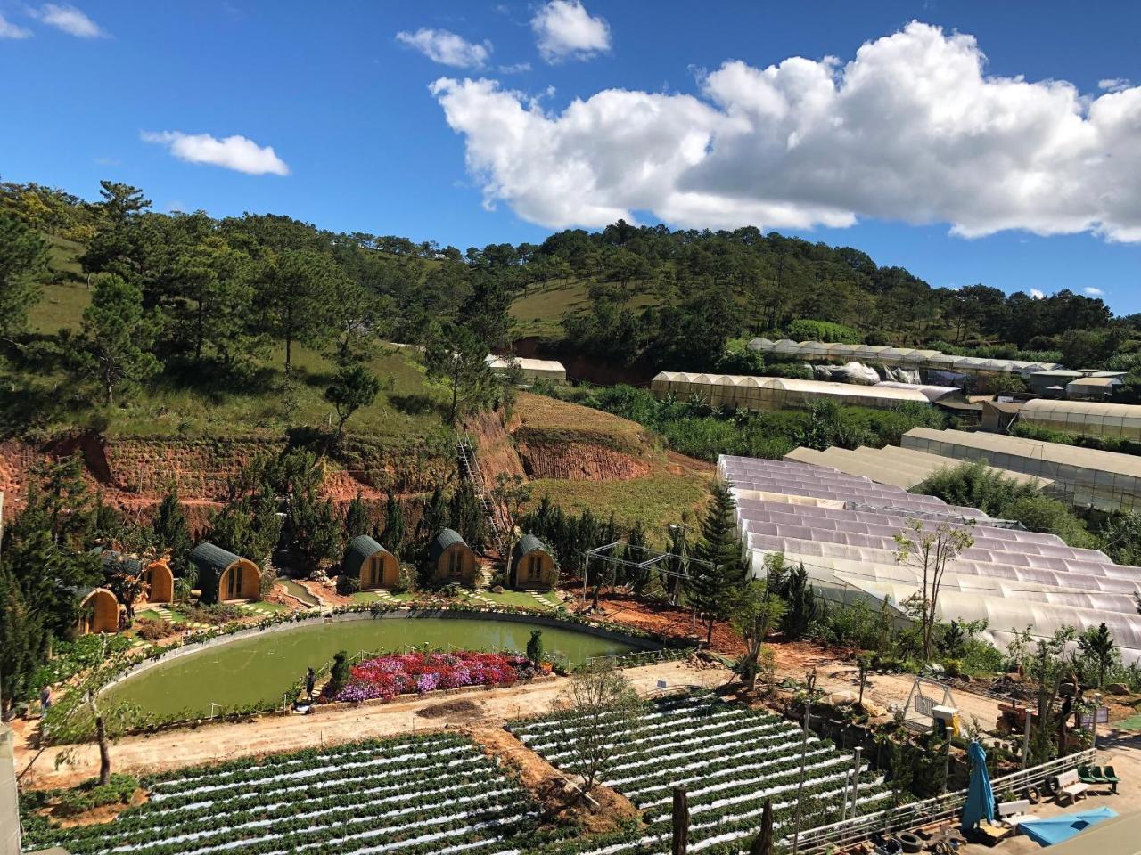 Berry Valley Homestay Da Lat Esterno foto